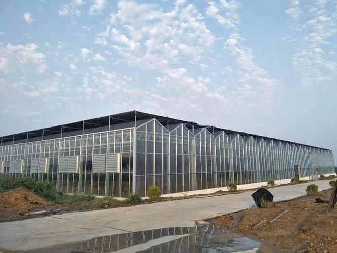 植物工廠的技術(shù)有哪些優(yōu)勢？